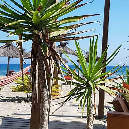 Beau Studio A 1 Minute De La Plage Кане Экстерьер фото